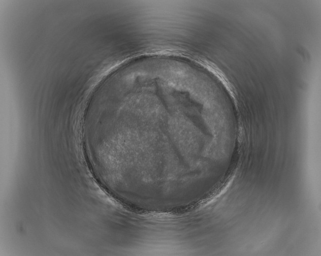 X0000110950577200907171630