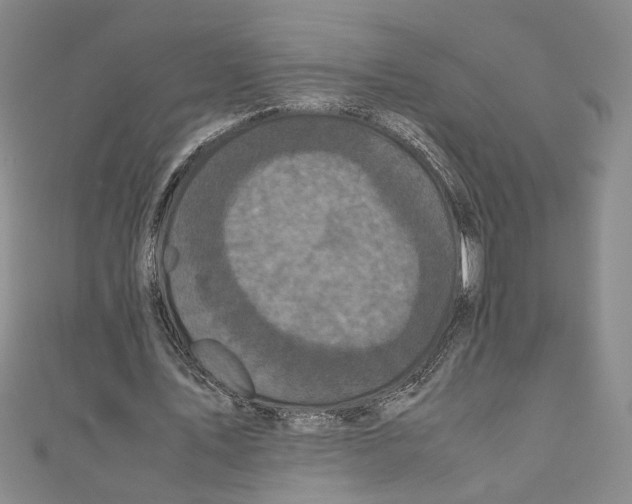X0000110950579200907171630