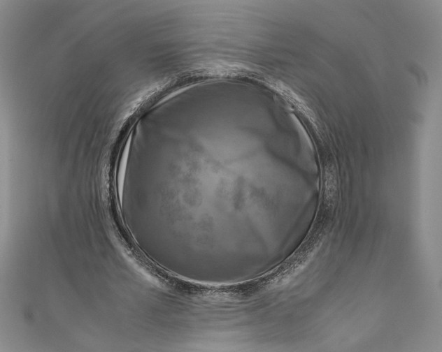 X0000110950581200907171630