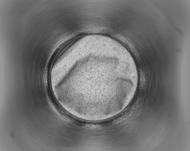 X0000110950582200907171630