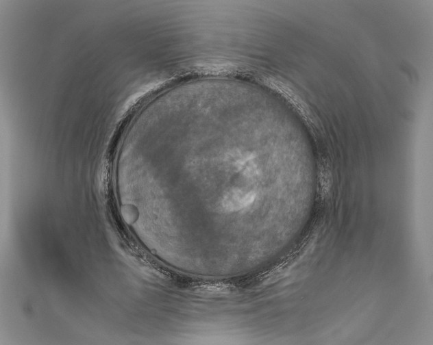 X0000110950583200907171630