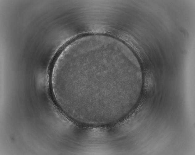 X0000110950584200907171630