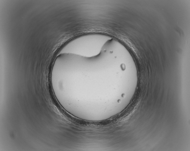 X0000110950585200907171630