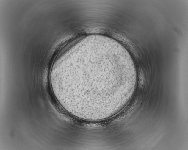 X0000110950586200907171630