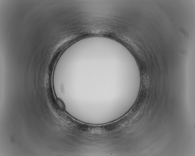 X0000110950587200907171630