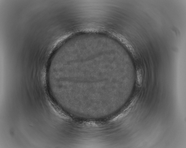 X0000110950588200907171630