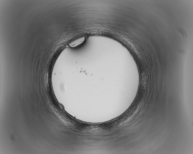X0000110950589200907171630