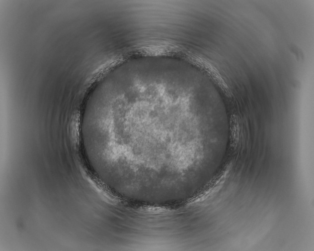 X0000110950590200907171630