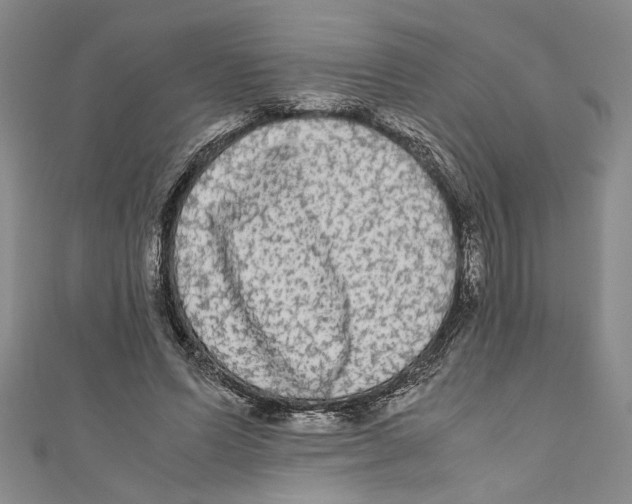 X0000110950591200907171630