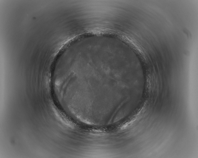 X0000110950592200907171630