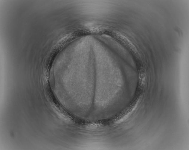 X0000110950593200907171630