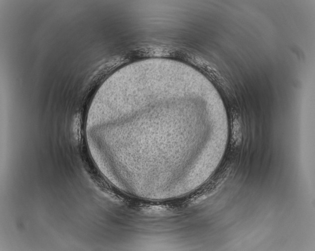 X0000110950594200907171630