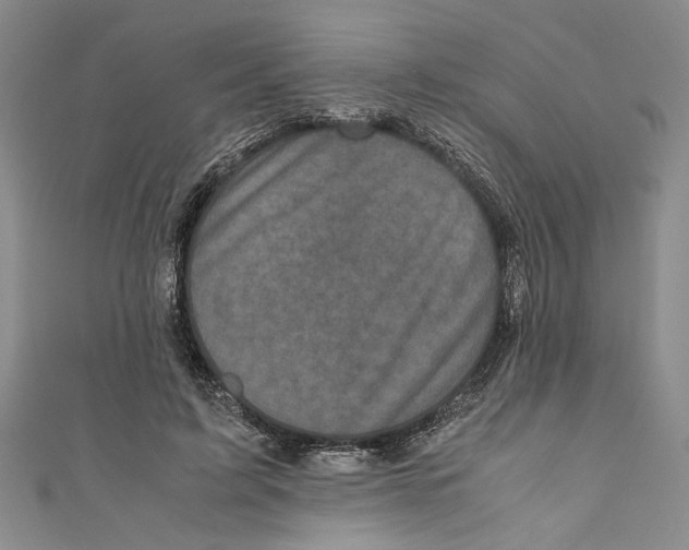 X0000110950595200907171630