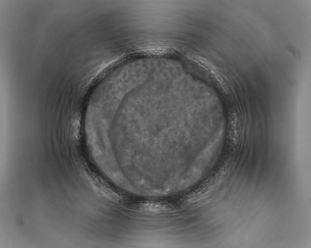 X0000110950596200907171630