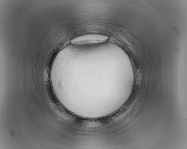X0000110950597200907171630