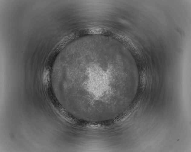 X0000110950598200907171630