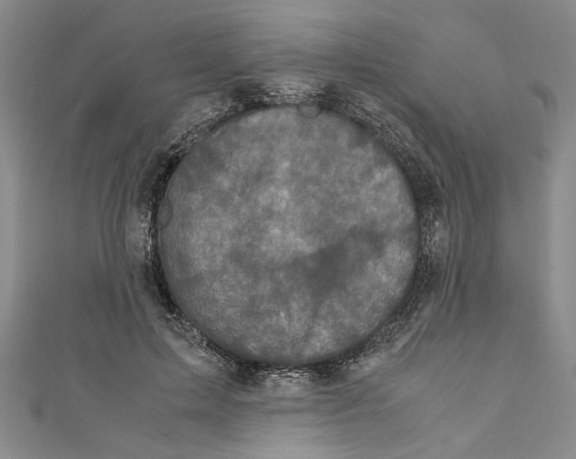 X0000110950599200907171630