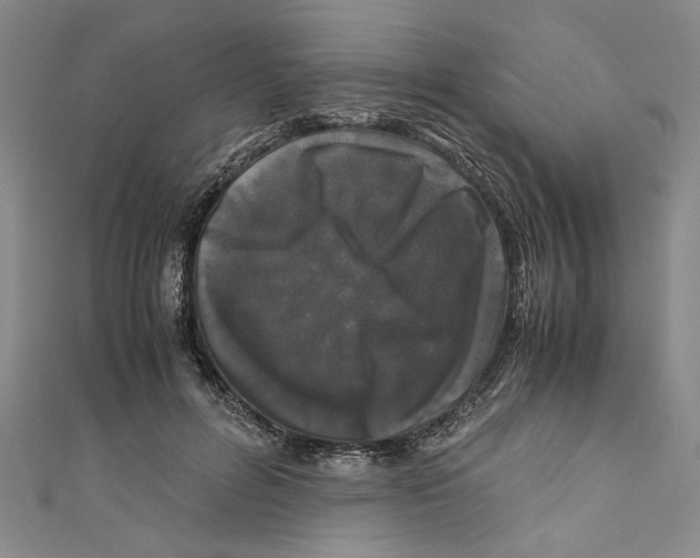 X0000110950600200907171630