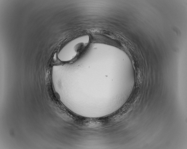 X0000110950601200907171630