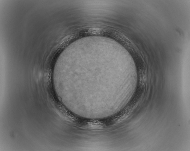 X0000110950603200907171630