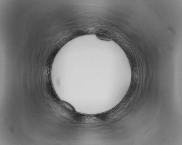 X0000110950605200907171630