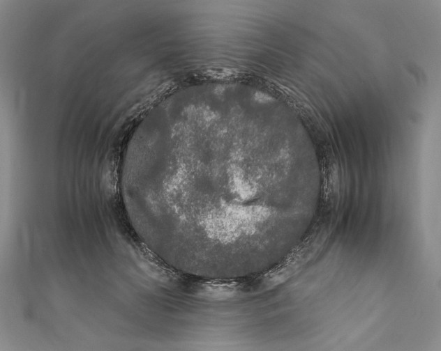 X0000110950606200907171630