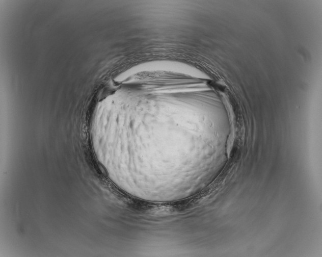 X0000110950609200907171630