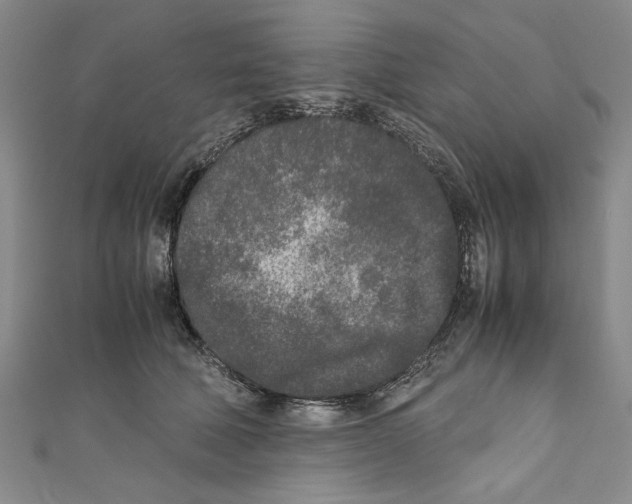 X0000110950610200907171630