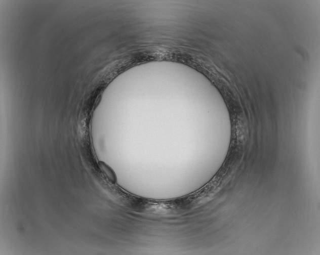 X0000110950611200907171630