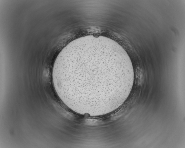 X0000110950614200907171630