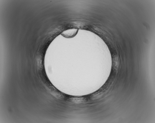 X0000110950615200907171630
