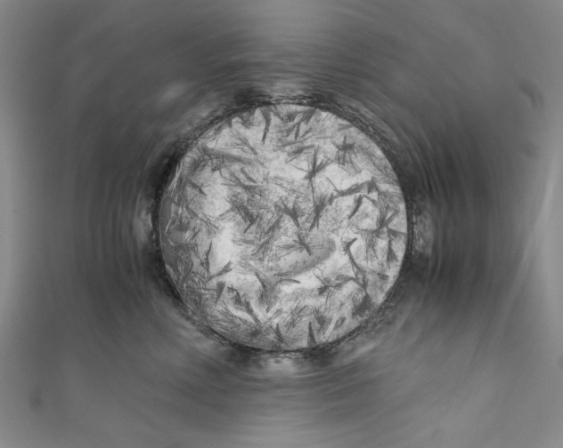 X0000110950618200907171630