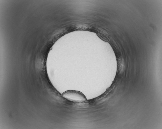 X0000110950619200907171630