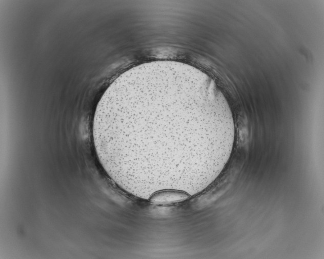 X0000110950620200907171630
