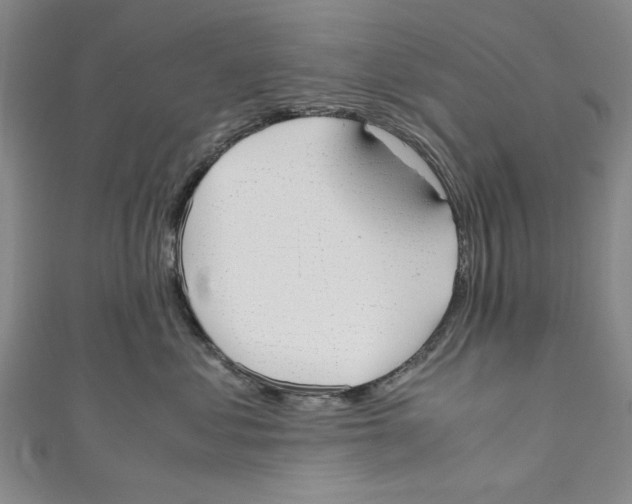 X0000110950621200907171630
