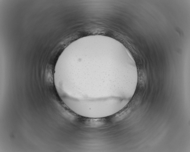 X0000110950622200907171630