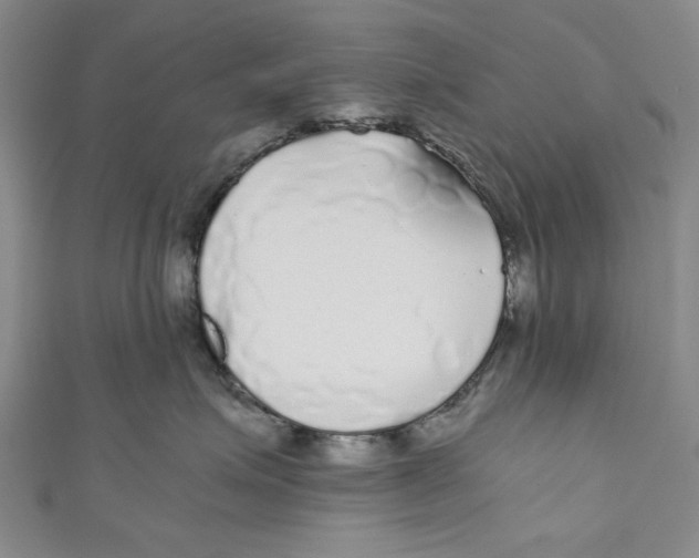 X0000110950623200907171630