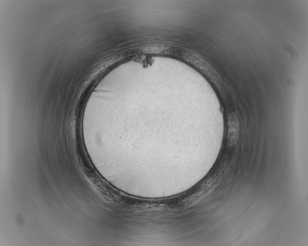 X0000110950626200907171629