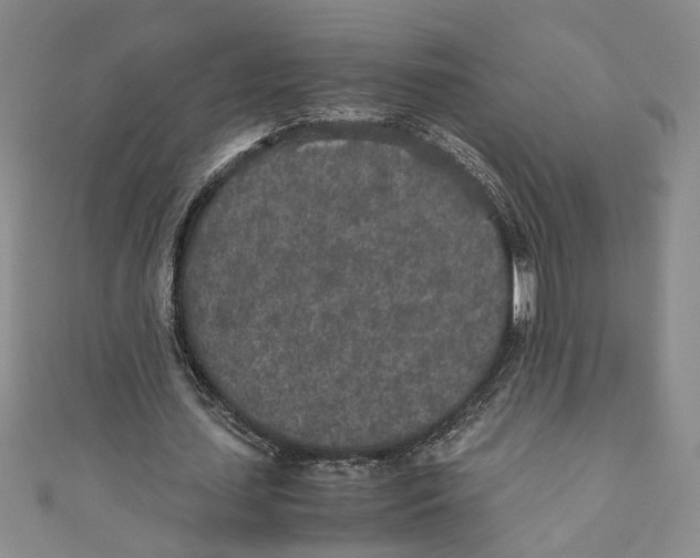 X0000110950627200907171629