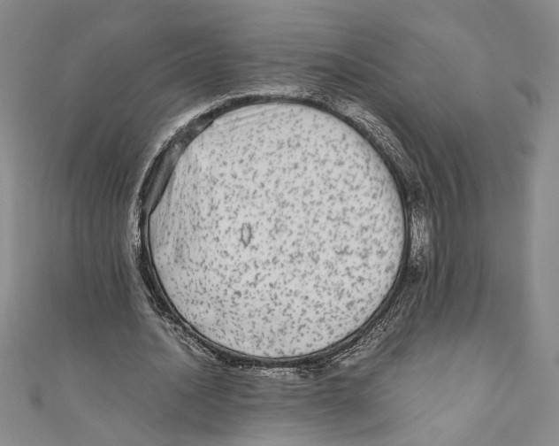 X0000110950628200907171629