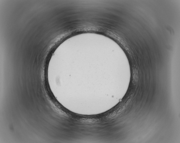 X0000110950629200907171629