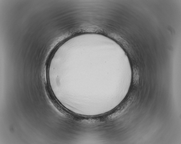 X0000110950630200907171629