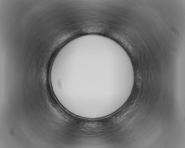 X0000110950631200907171629