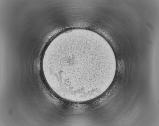 X0000110950632200907171629