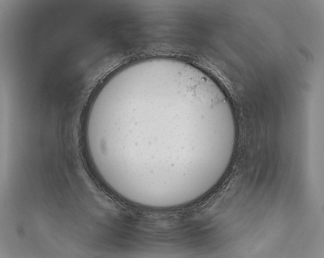 X0000110950635200907171629