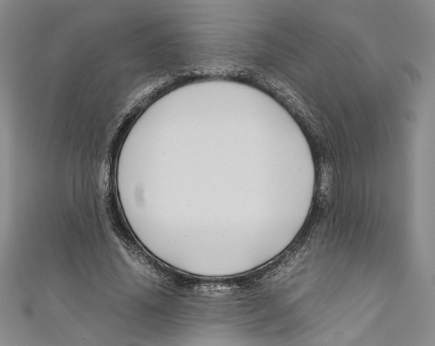X0000110950636200907171629