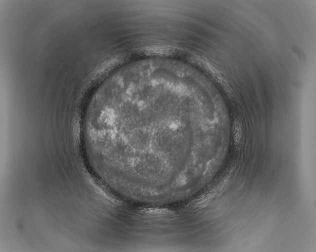 X0000110950637200907171629