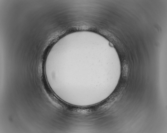 X0000110950638200907171629
