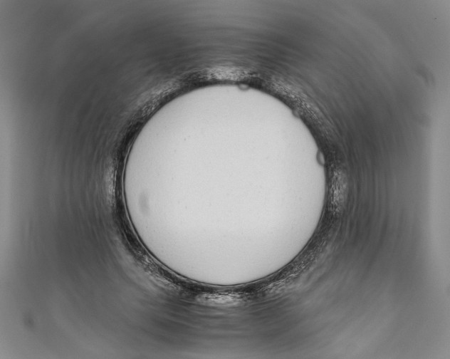 X0000110950639200907171629
