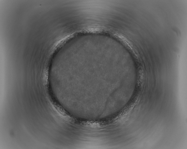 X0000110950640200907171629
